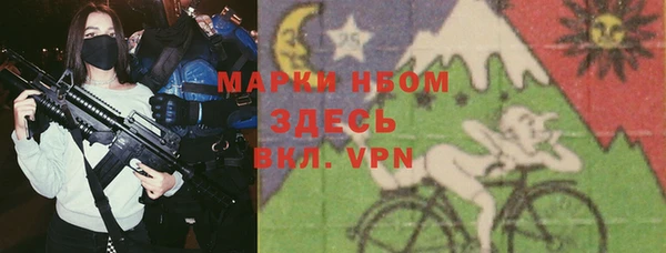 сатива Вязьма