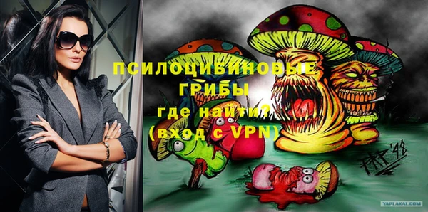 сатива Вязьма