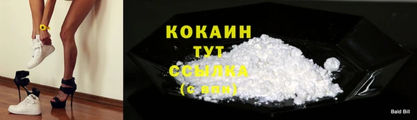 тгк Вяземский