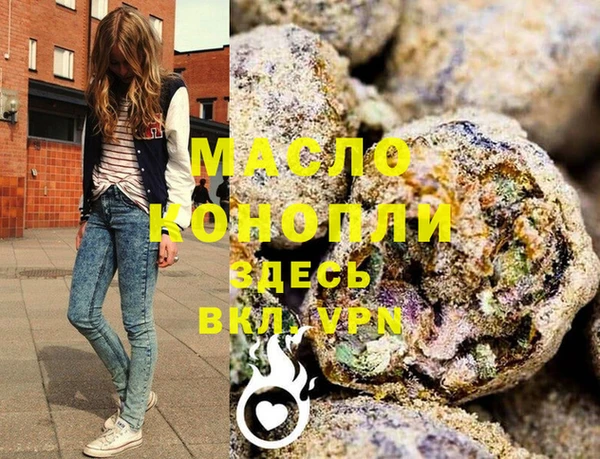 тгк Вяземский