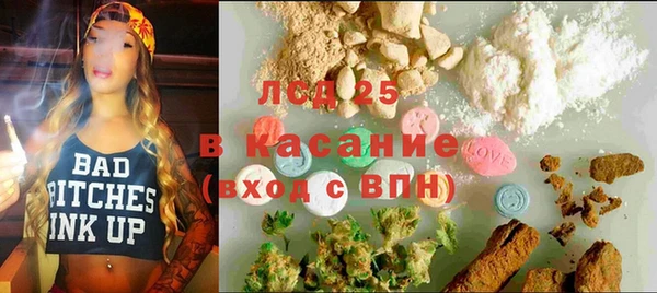 сатива Вязьма