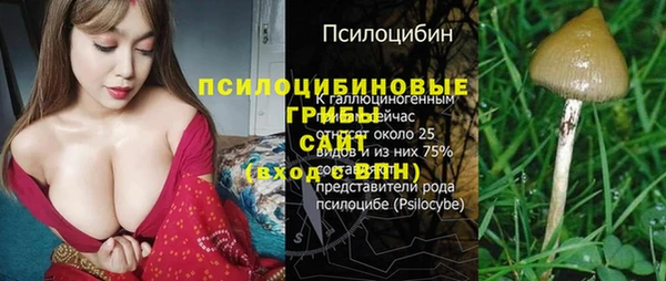 тгк Вяземский