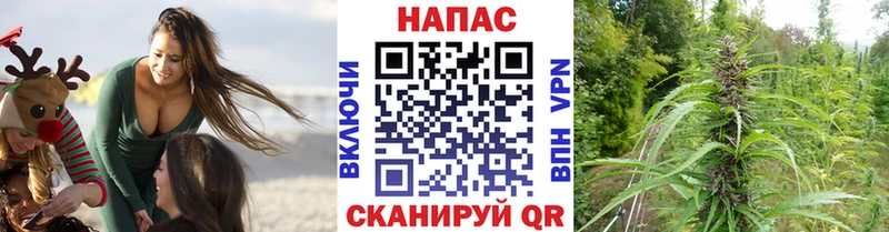 omg рабочий сайт Карабулак darknet состав Шишки марихуана Ganja
